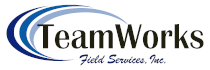 TeamWorks Consulting Inc.